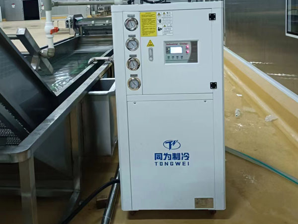 Tongwei cài đặt thành công máy làm lạnh không khí công nghiệp 10 tấn trong nhà máy thực phẩm của khách hàng